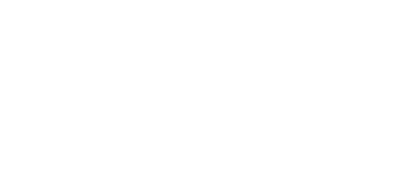 Seçkin Ciğerci